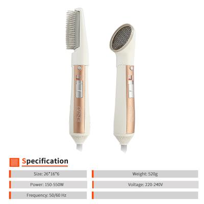 China Hotel Hair Styling Brush 2 in 1 Professional Salon Styling Blow One Step Hairdryer Hot Air Hair Dryer Brush Straightener for sale