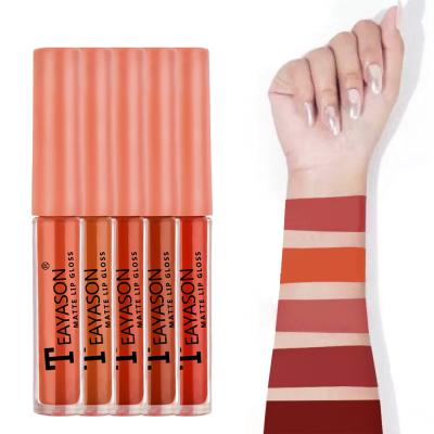 China TEAYASON Waterproof Matte Lip Glaze Five Mini Boxes Long Lasting Waterproof Non-Stick Lip Gloss Lipstick Cup Nude Pumpkin Color for sale