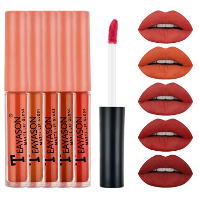 China 4 Styles 5Pcs/Set Lip Gloss Cup Waterproof Fast Shipping Waterproof Lipstick Matte Lip Glaze Mini Boxes Pumpkin Non-Stick Nude Color for sale