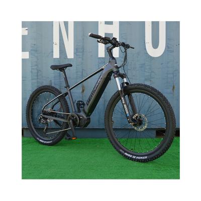 China New Arrival MTB E Outdoor Fast Powerful Electric Bike Electric Bike Street Mountain Bike for sale