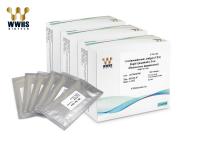 Chine Cassette diagnostique 20T de réactif de WWHS CEA Rapid Quantitative Test POCT à vendre