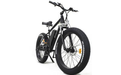 China Leitner Electric Fat Bike | High Power (OFF-ROAD) for sale