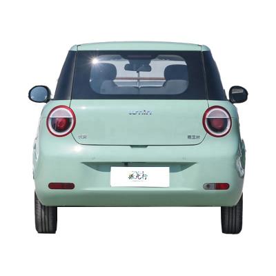 China Changan Lumin 2024 205km Pure Electric Mini EV Passenger Car with Advanced Technology for sale