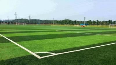 China high quality artificial grass for soccer field for sale