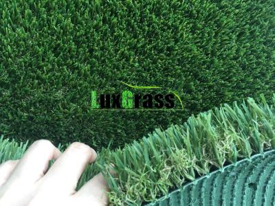 China 3D W shape UV Resistant  Artificial Turf / Synthetic Grass Leisure Kids Garden use grass for sale