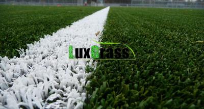 China Football Field 30mm indoor use fake grass cheap price soccer artificial grass for sale for sale