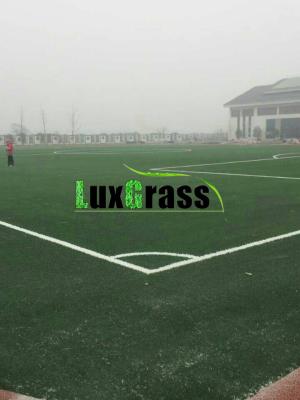 China Middle East Market Football Field Artificial Grass Prevent Sand Fastness Football Synthetic Grass for sale