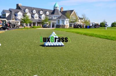 China 12 mm High Density Artificial Grass For Golf Putting Green Cricket  Turf Mat for sale