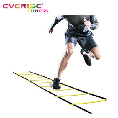 China Adjustable PP Football Fitness PP Fixed Rungs Sports Kit Agility Ladder Set for sale