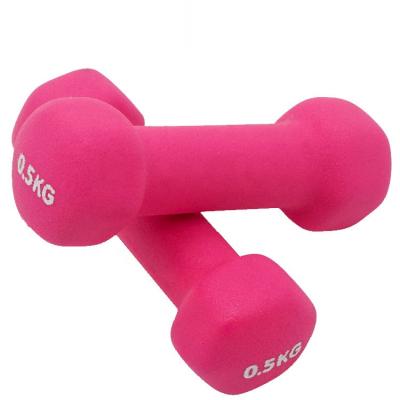 China Cheap Body Fitness Price Hand Hex Neoprene Coated Dumbbell Set for sale