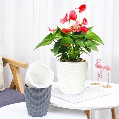 China Biodegradable Self Watering Lazy Flower Pot Hydroponics and Soil Cultivation Plastic Flower Pots for sale