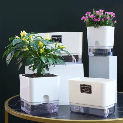 China Beautiful European AS High Transparent Series Lazy Home Flower Pot Fashion for sale