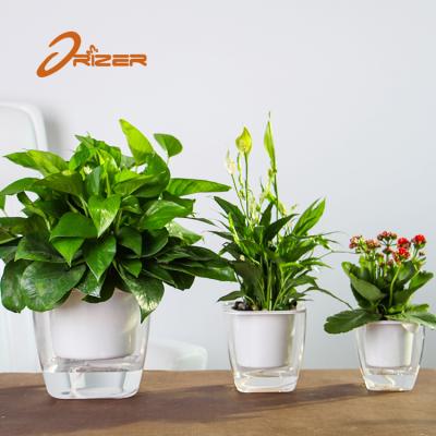 China Shenzhen Plant Biodegradable Washable Self Watering Flower Pots , Clear Plastic Outdoor Flower Pots for sale