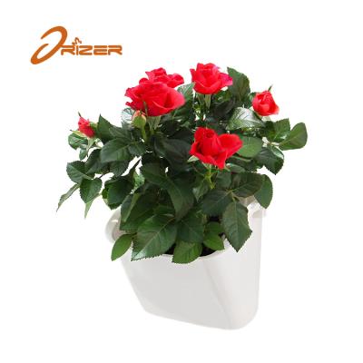 China Best Planter Wall Hanging Biodegradable Plastic Flower Pots for sale