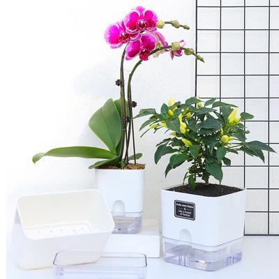 China European ABS Beautiful High Transparent Series Lazy Flower Pot Home Fashion for sale