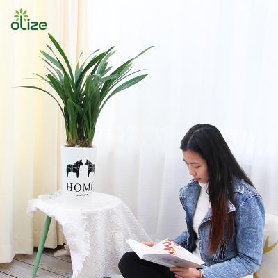 China Durable High Tube Flower Pot Style Furniture Lazy Flower Pot for sale