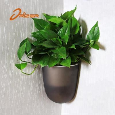 China Garden Wall Hanging Biodegradable Vertical Flower Pots for sale