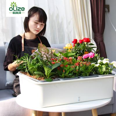 China Self watering SC04 home fasion vegetable stand with vegetable basin for sale