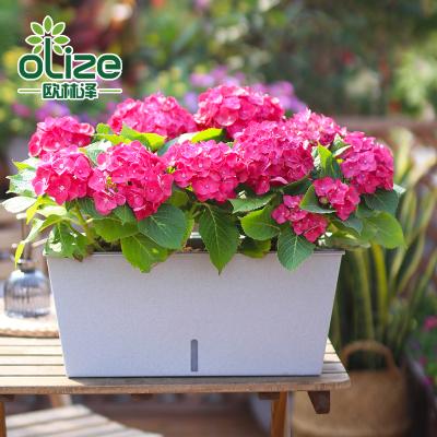 China Biodegradable Home Decorative Rectangular Storage Planter , Plastic Planter Box For Flower And Vegetable for sale