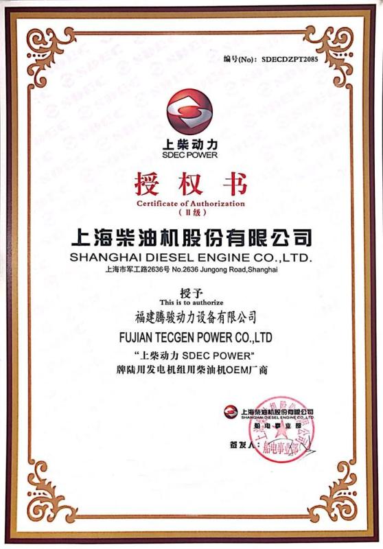 OEM - FUJIAN TECGEN POWER CO., LTD.