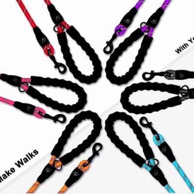 China 2021 Amazon Best Selling Portable Dog Nylon Rope Gift Strong Dog Leash With Comfortable Padded Handle for sale