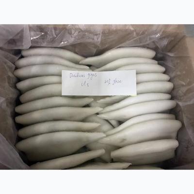 China EU Nutritious Direct Factory Peru Giant Squid Frozen Tube In Frozen Squid Seafood With Lower Price for sale