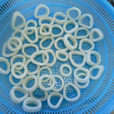 China Nutritious Wholesale High Quality Frozen Squid Slice Rings for sale