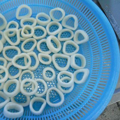 China Nutritious hot sale seafood iqf squid tentacle and high quality squid rings for sale