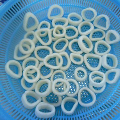 China Squid tentacle and nutritious frozen squid rings makers for sale