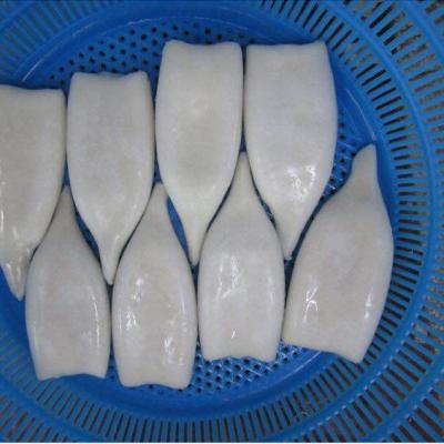 China Whole nutritious factory direct squid jelly with best price for sale