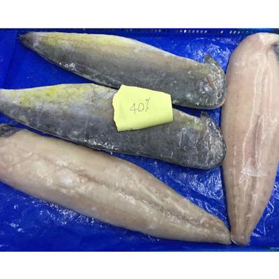 China Latest Modified Pacific Mackerel High Quality Low Fat Fish Sea Mackerel Price Jelly for sale