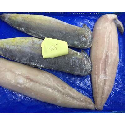 China Low Fat Hot Sea Frozen Pacific Sale Fish Cartons Mackerel Trade for sale