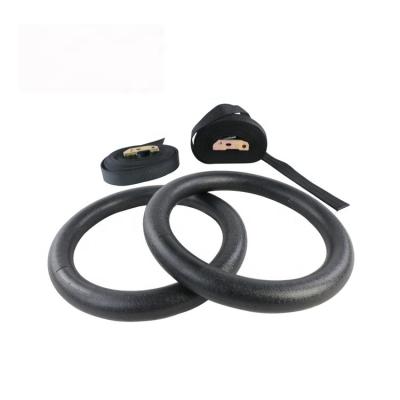 China Exercise Gym Fitness Workout Pull Ups and Dips ABS Gymnastic Rings for sale