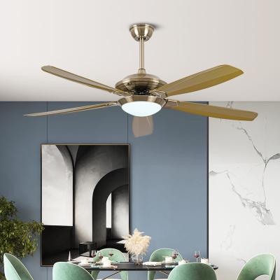 China Hot Selling Modern Manufacturers ABS Blade 52 Inch 220v Power AC DC 3 Blade Led Ceiling Fan Light for sale