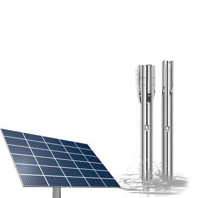 China Borehole Pumps Agriculture 85m Irrigation Main Pump Solar Water Borehole Pump System Solar Water Pump for sale