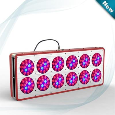 China 2018 best selling products in america cheap 300w led grow lights for sale for sale