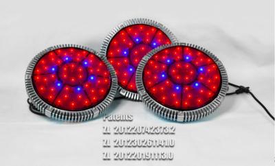 China Newest Greenhouse Grow Led Lights 300w,Vegetative 300w Led Grow Lights Grow Panel Grow Lam for sale