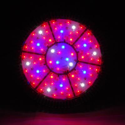 China cidly programmable wholesale pricing led growing light for sale