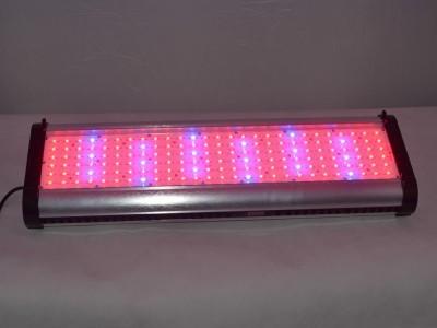 China 250W pt cheap aquarium led light auto-dimming Led aquarium light manufacturers for sale