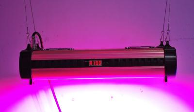 China all-in-one 250w dimming and timing LED grow light ,cidly PT 300w LED grow light for sale