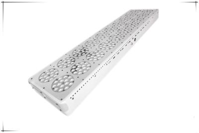 China Magnum Plus 900W Apollo LED Grow Light Apollo 20 300*3W LED Grow Light Full Spectrum for for sale