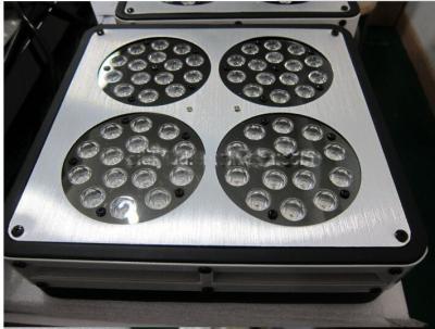 China Indoor garden hydroponics growing system led grow light led grow light for greenhouse used for sale