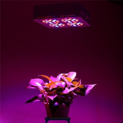 China Hot Selling 180W Apollo 4 Full Spectrum LED Grow light Panel 10bands For Indoor Plants for sale