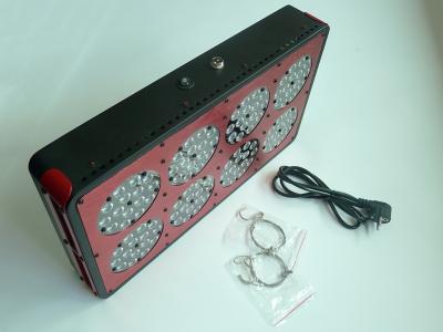 China switchable led grow light CIDLY LED 8 300w grow light with full spectrum optional for sale