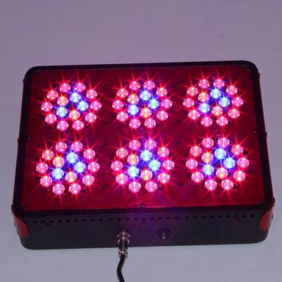 China Wholesale Red Blue 270w P series LED Grow Light Upgrated Apollo plant growing lamp for sale