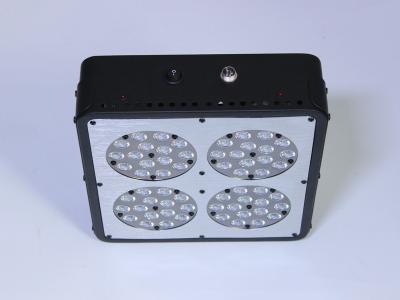 China full wave band 300watt apollo 4 led grow light for plant growth flowering for sale