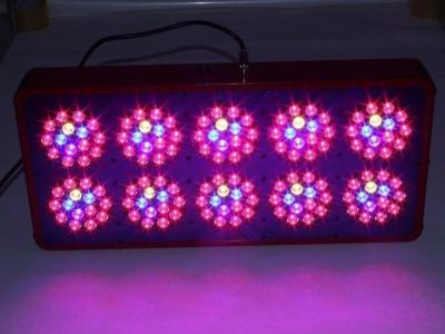 China indoor CIDLY LED plant grow light Indoor Aquaponics Grow Lights hydroponics system for sale