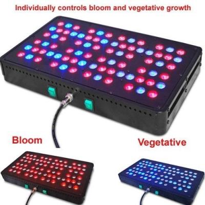 China New Apollo 8 80*5W LED Grow Light with 5W Chip for sale