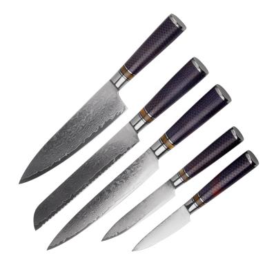 China New Damascus Steel 5Pcs Durable Pitch Resin Handle Kitchen Knife Set High End for sale