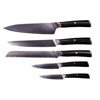 China New Damascus Steel 5Pcs Handle Group Of Ten Chef Fruit Knives Kitchen Knife Set High Quality Viable Launch for sale